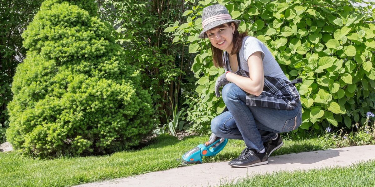 Comment_créer_un_jardin_respectueux_de_l’environnement_chez_soi ?